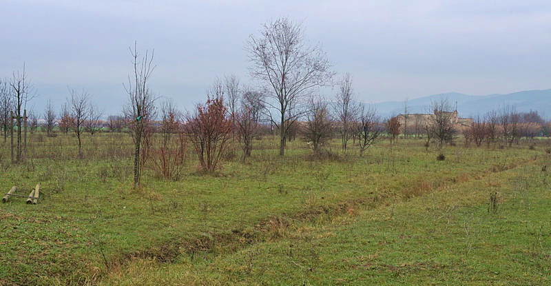 Parco della Piana - Podere della Querciola - Aula didattica